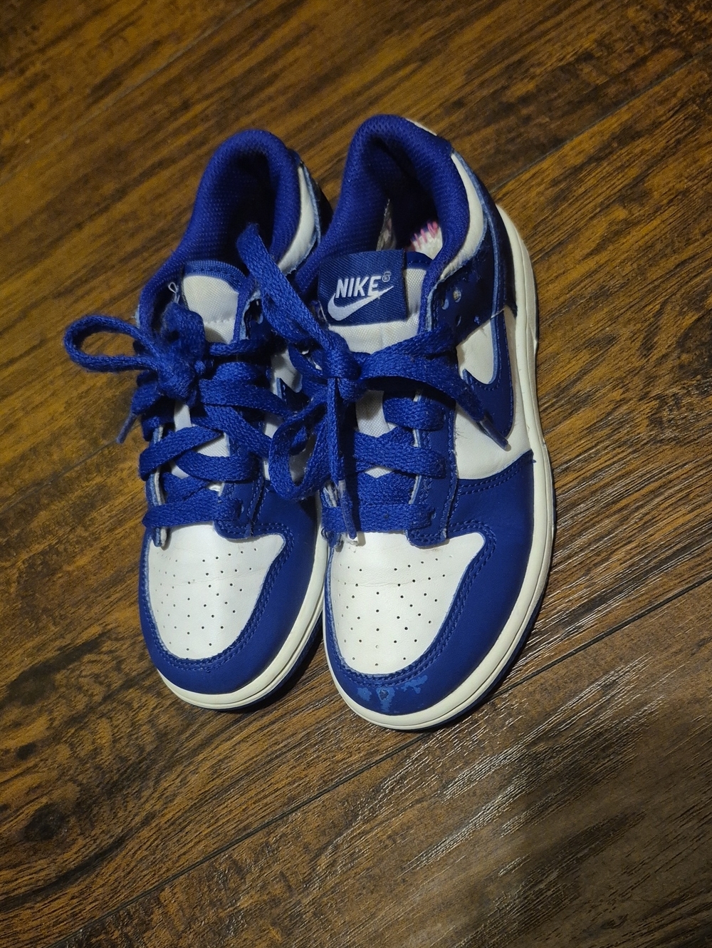 Nike Kids Royal Blue Dunks and White Low-Top Sneakers